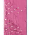 ZARI EMBROIDERED CHIFFON DRAPE