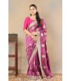 ZARI EMBROIDERED CHIFFON DRAPE