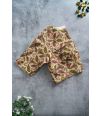 Biscotti Kalamkari V-Cut Blouse  (ALTERABLE)