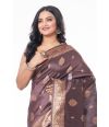 METALLIC BROWN BISHNUPURI TUSSAR SILK, ZARI PALLU & BORDER, MATCHING BROCADE BLOUSE PIECE